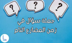 جملة سؤال في زمن المضارع التام