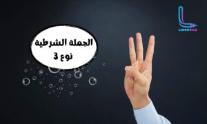 الجملة الشرطية نوع 3