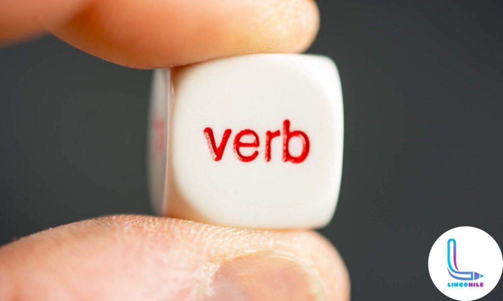 تعلم أنواع الأفعال