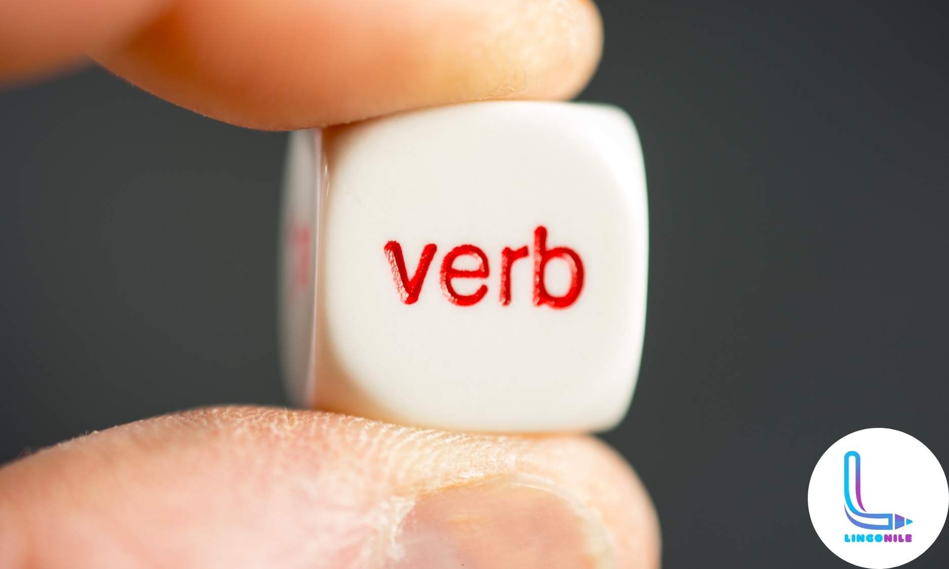 تعلم أنواع الأفعال