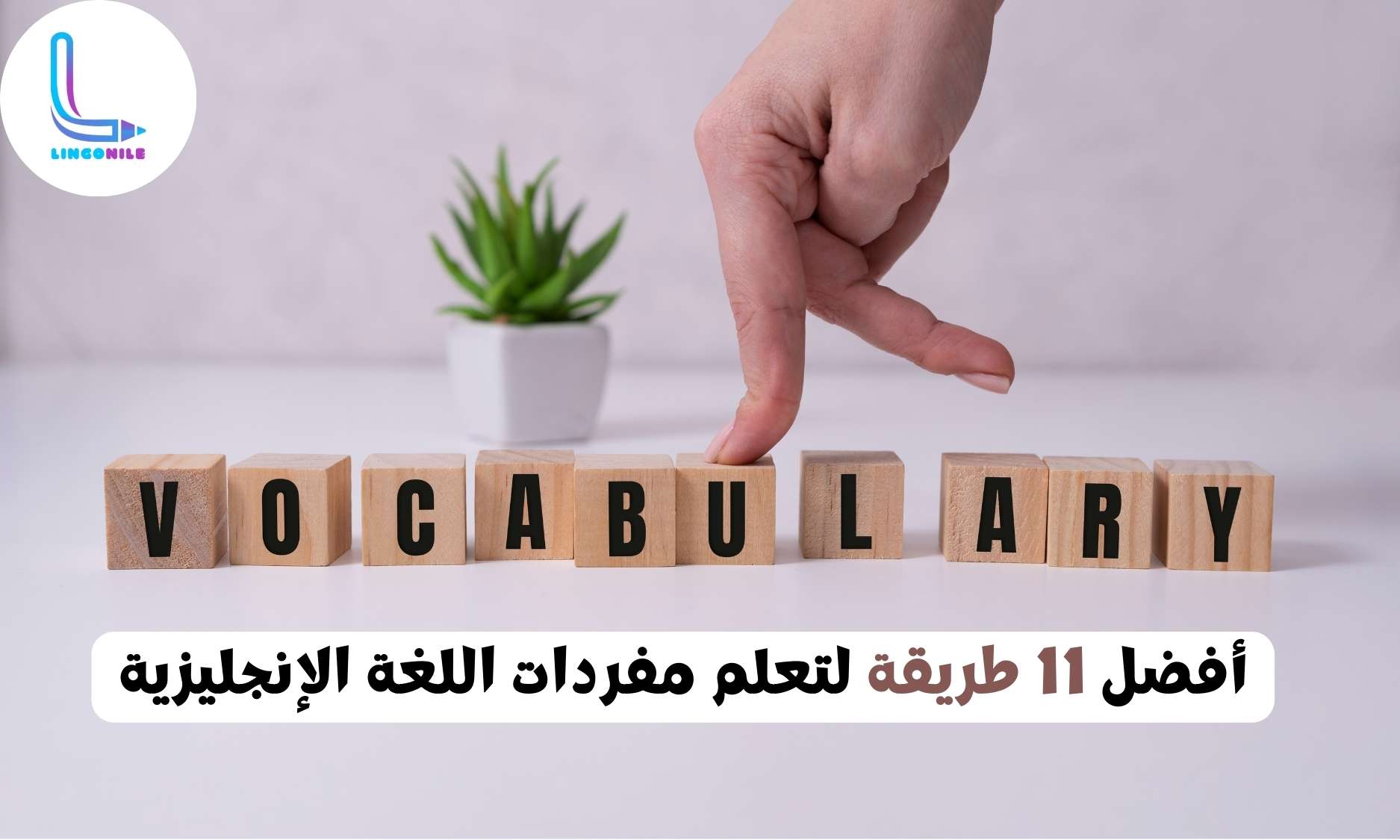 أفضل 11 طريقة لتعلم مفردات اللغة الإنجليزية