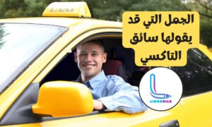 الجمل التي قد يقول السائق