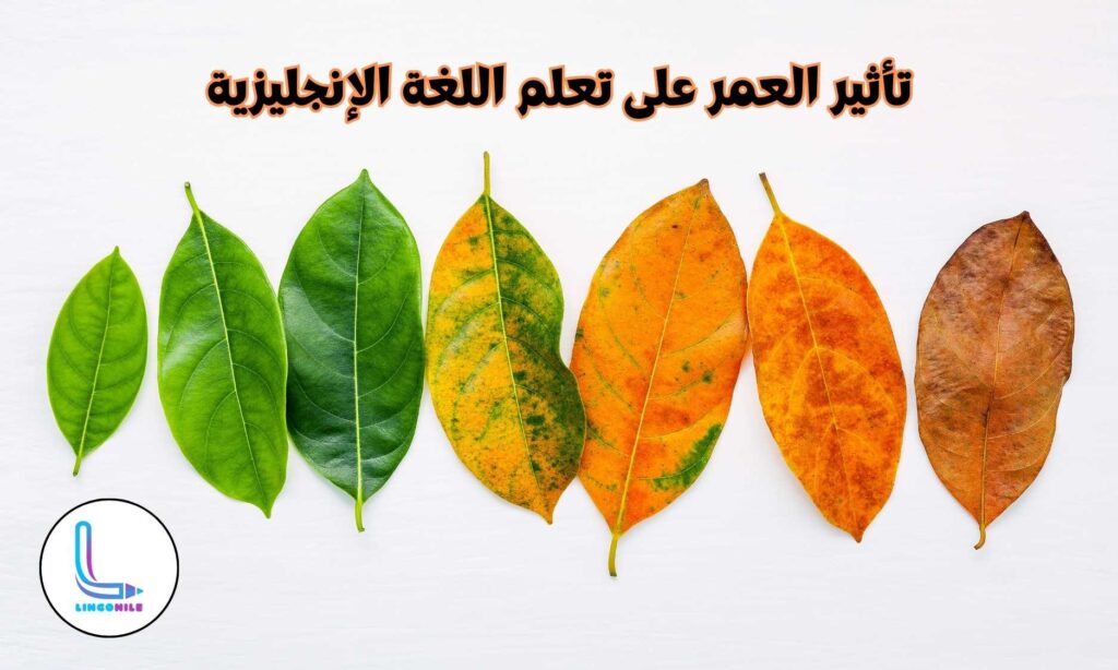 العمر وتأثيره على عملية تعلم