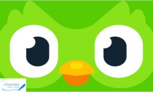 Duolingo لتعلم اللغة الانجليزية بسهولة جدا لجميع المستويات